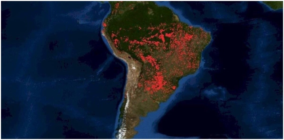 Amazonas